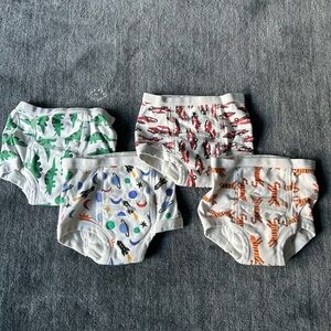 Hanna Anderson Animal Training Underwear Set (4)